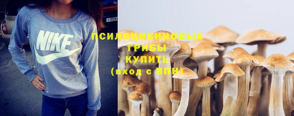 альфа пвп Горно-Алтайск
