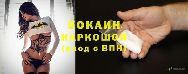 ГАЛЛЮЦИНОГЕННЫЕ ГРИБЫ Горняк