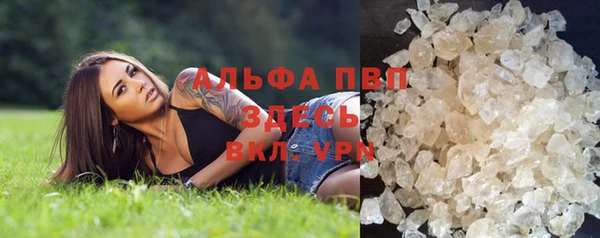ГАЛЛЮЦИНОГЕННЫЕ ГРИБЫ Горняк