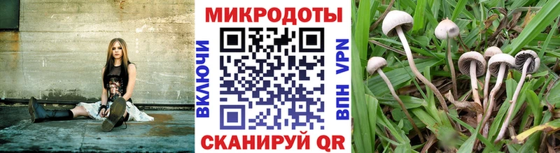 Псилоцибиновые грибы MAGIC MUSHROOMS  Купить где  Подпорожье 